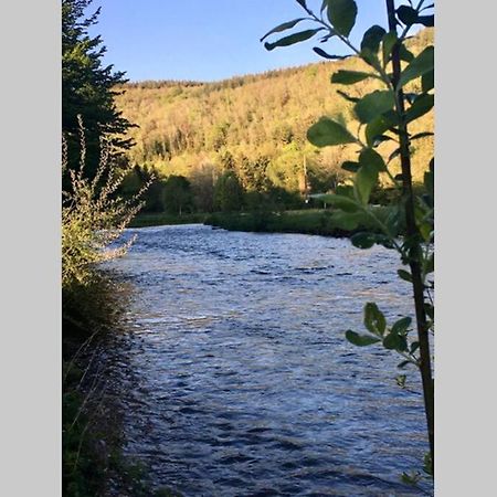 Gite Authentic Ardenne Vresse-sur-Semois Esterno foto