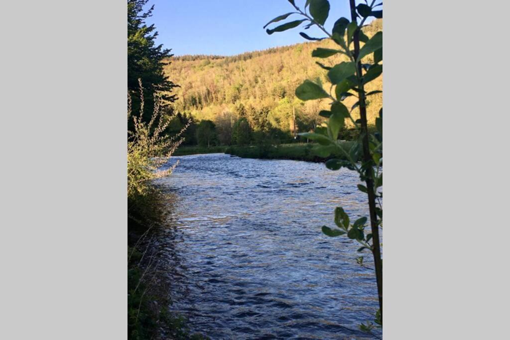 Gite Authentic Ardenne Vresse-sur-Semois Esterno foto