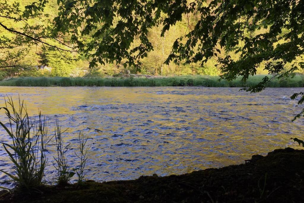 Gite Authentic Ardenne Vresse-sur-Semois Esterno foto