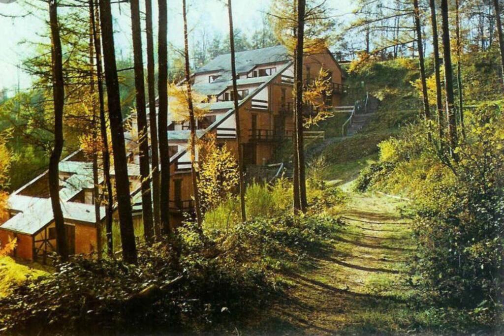 Gite Authentic Ardenne Vresse-sur-Semois Esterno foto